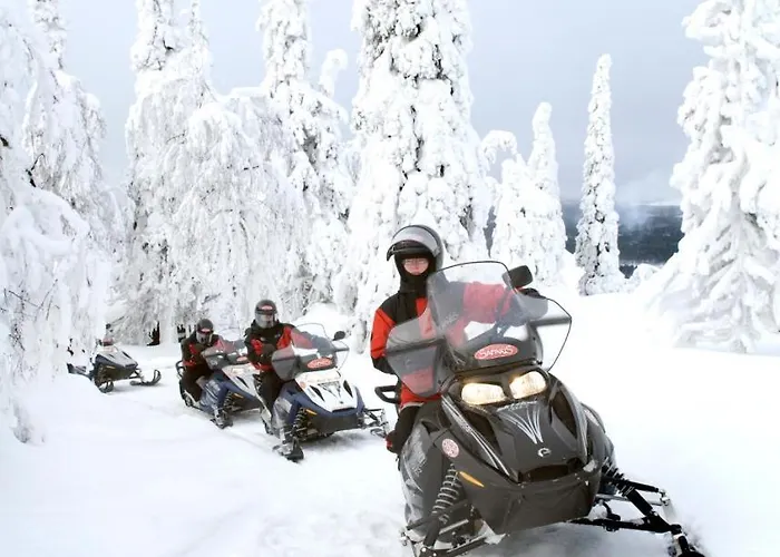 Vuosselin Helmi Appartement Ruka