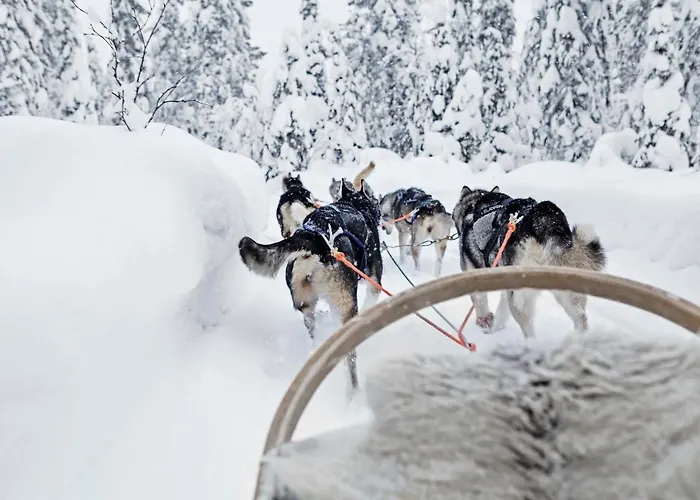 Vuosselin Helmi Appartement *